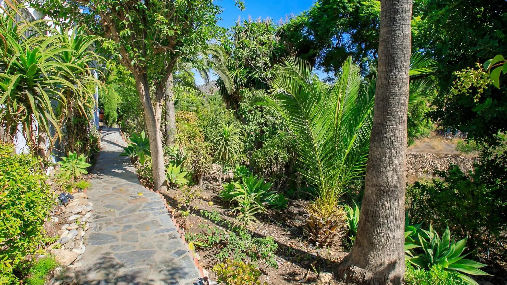 Villa Aries By Interhome Frigiliana